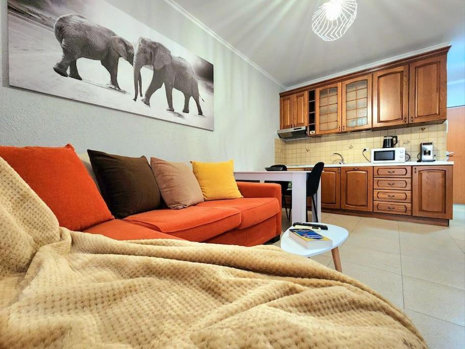 One Bd Flat Near Center With 24H Self Check In Lägenhet Tirana Exteriör bild